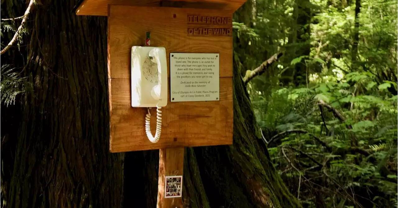 'I need an outlet': Grieving relatives talk to lost loved ones on phone in the forest