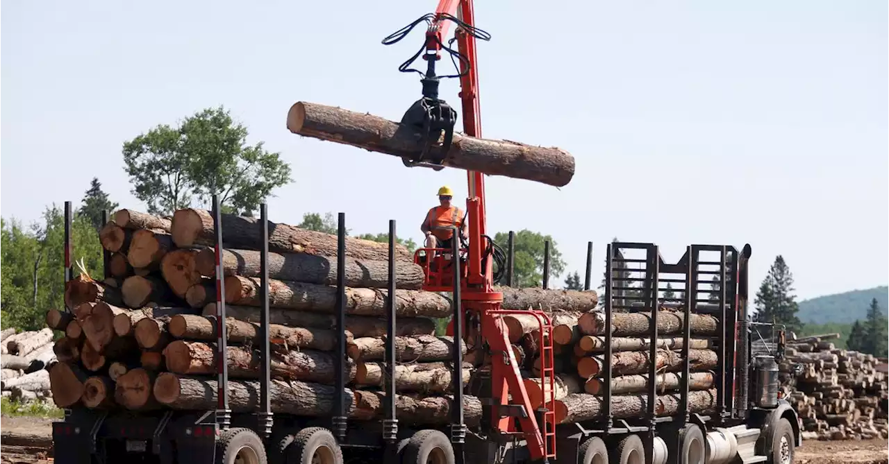 Analysis: Canadian wildfires shutter sawmills, drive up lumber prices