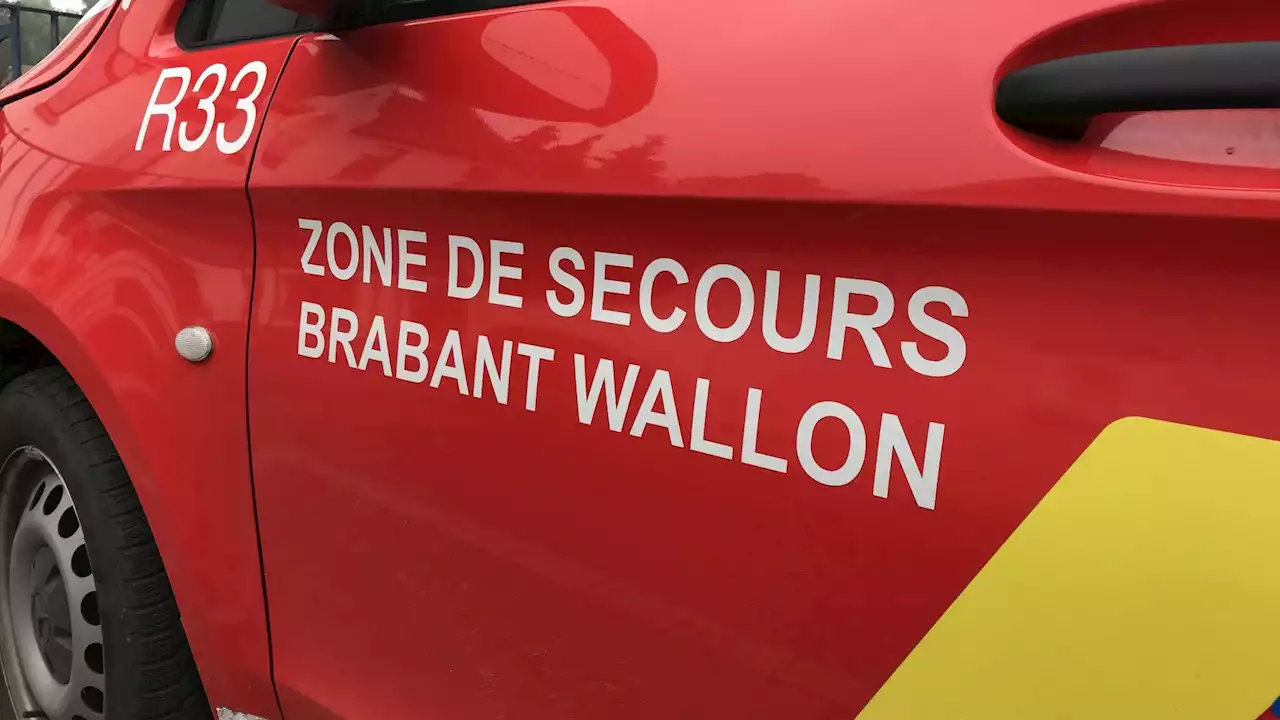 L'incendie qui a ravagé le bois de Beausart à Grez-Doiceau samedi était d'origine criminelle