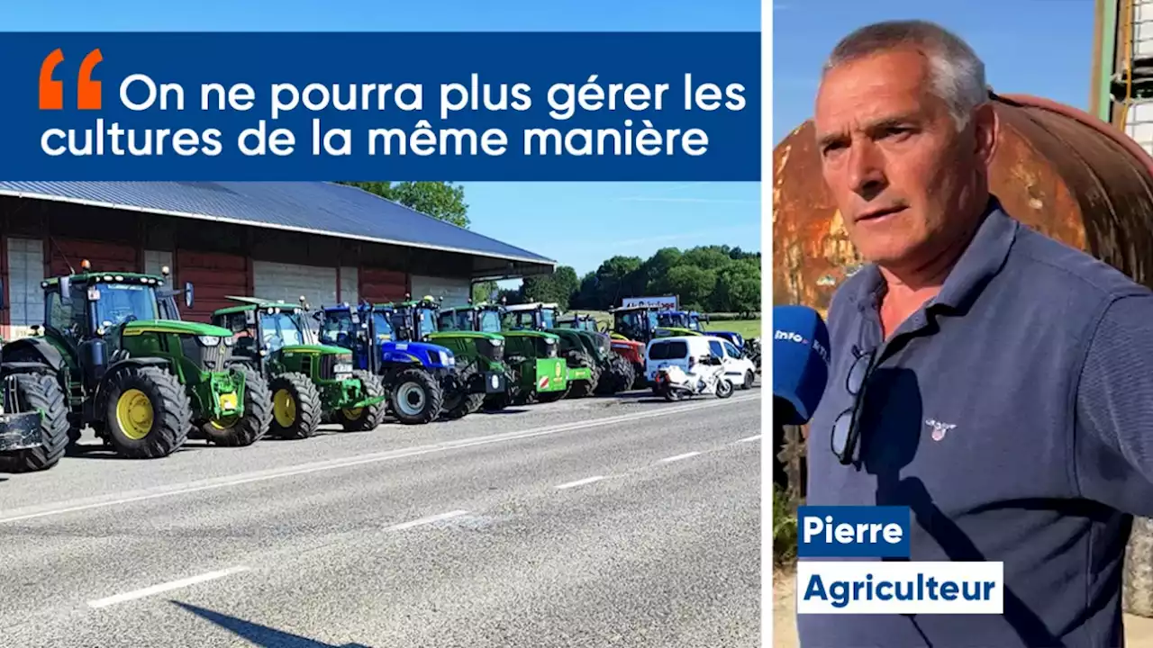 'Je suis impacté à plus de 60 % sur l'exploitation': Pierre, agriculteur depuis 40 ans, explique les raisons de la colère