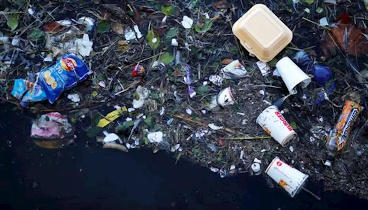 Environmental activists finding it difficult to get polluters to comply with policies - SABC News