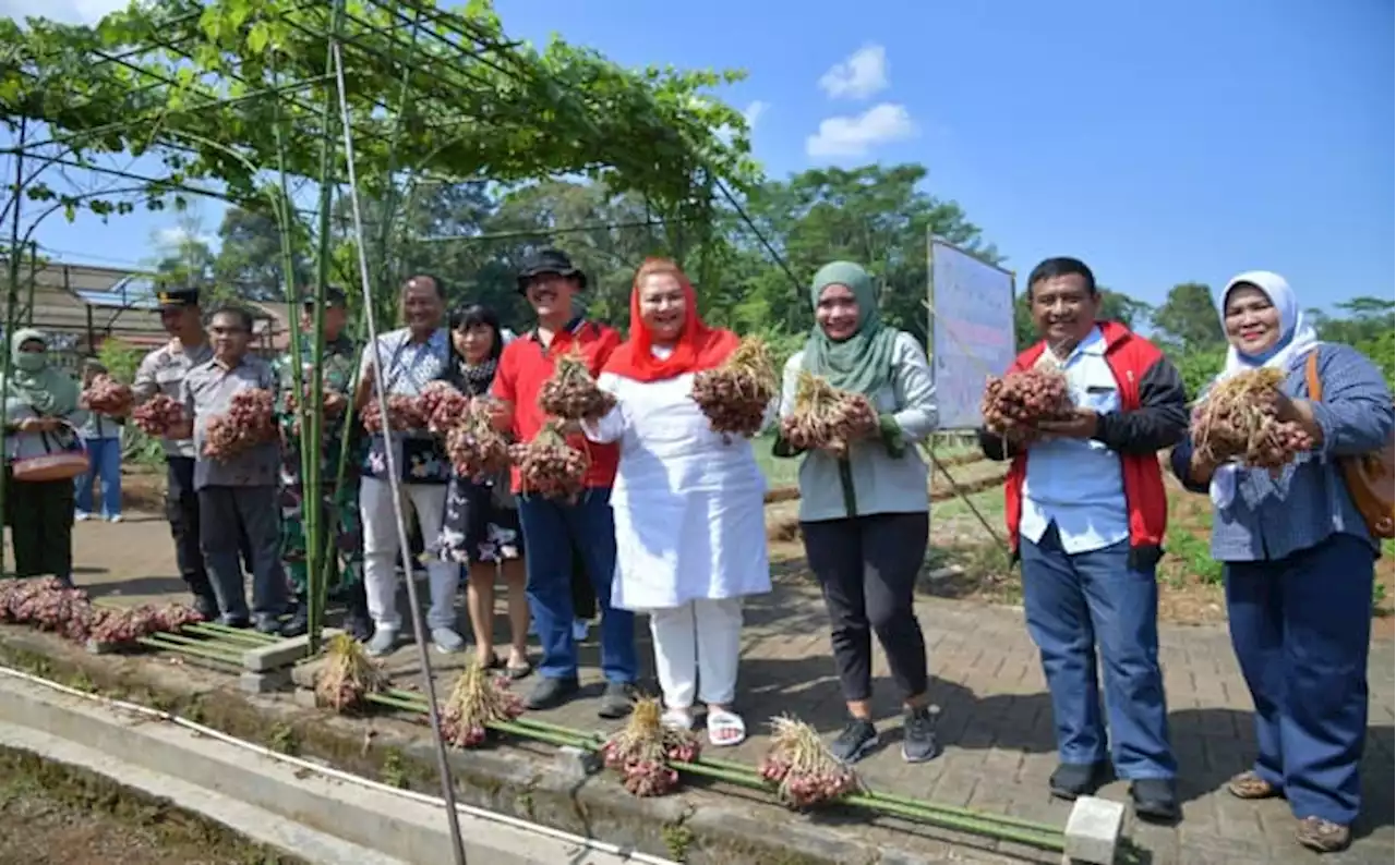 Wali Kota Mbak Ita Inginkan Semarang Bisa Pasok Bawang Merah hingga Hinterland