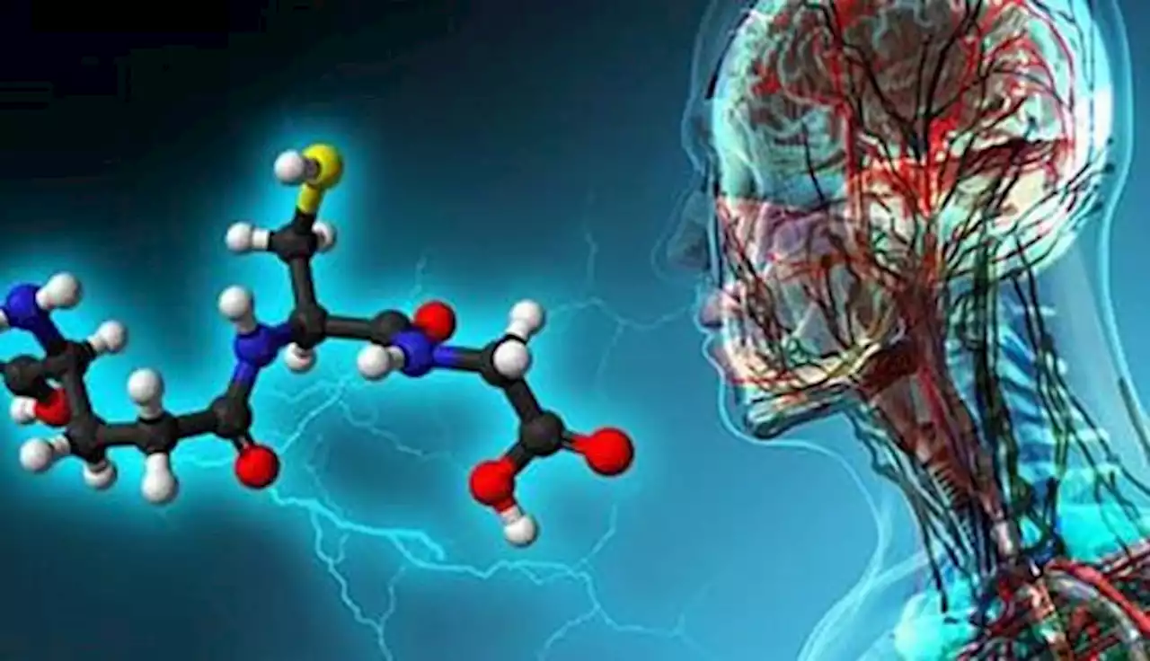 Si hablamos de antioxidantes, el GLUTATIÓN es el rey