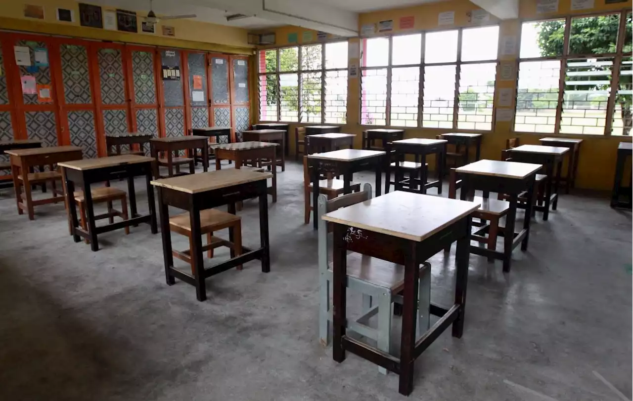 Dropout rate higher at secondary school level, says Deputy Education Minister