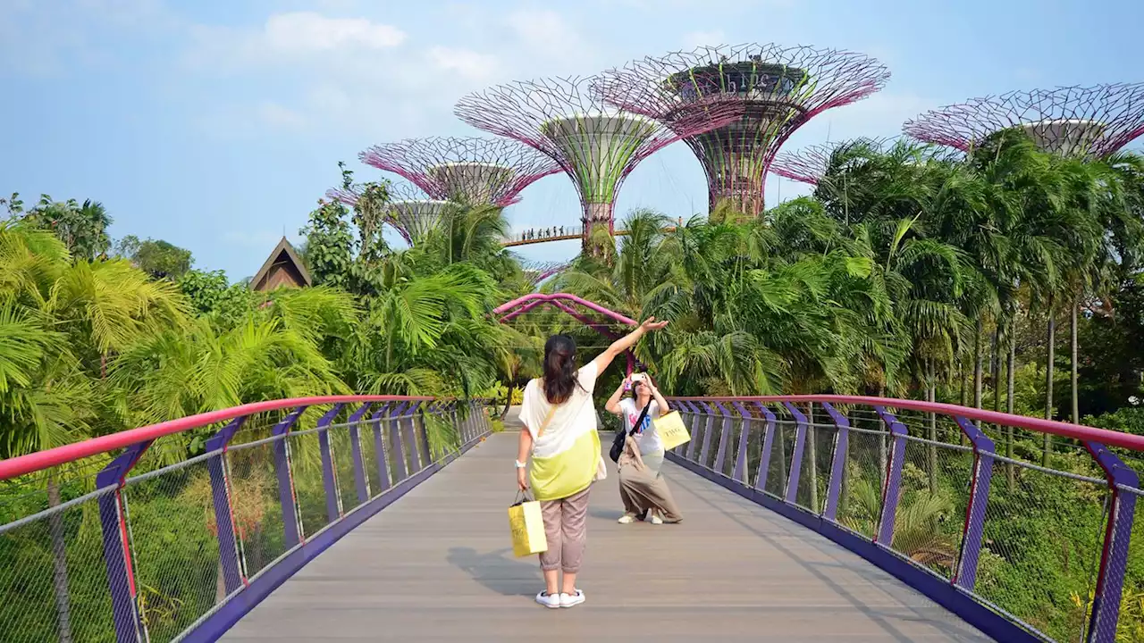 Gardens by the Bay: Singapurs Super Trees im Garten Eden