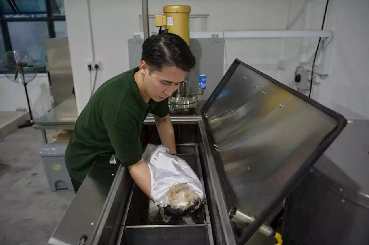 No fire please: New water cremation for pets gaining popularity in S’pore