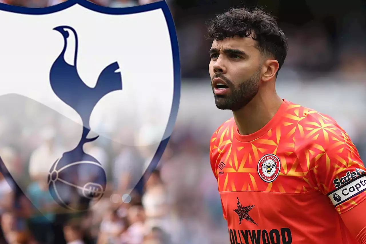 Premier League goalkeeper pushing for Spurs transfer but asking price an issue