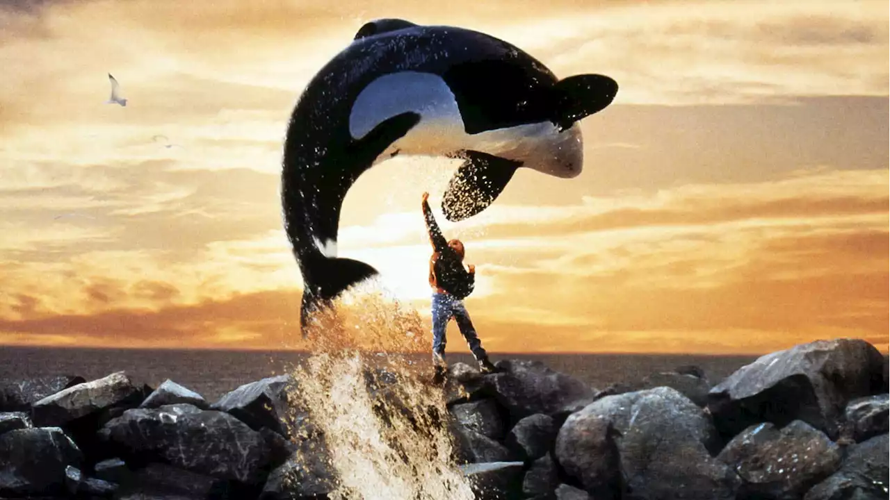 ‘Free Willy’ Used Rocket Launcher to Pull Off That Big Jump