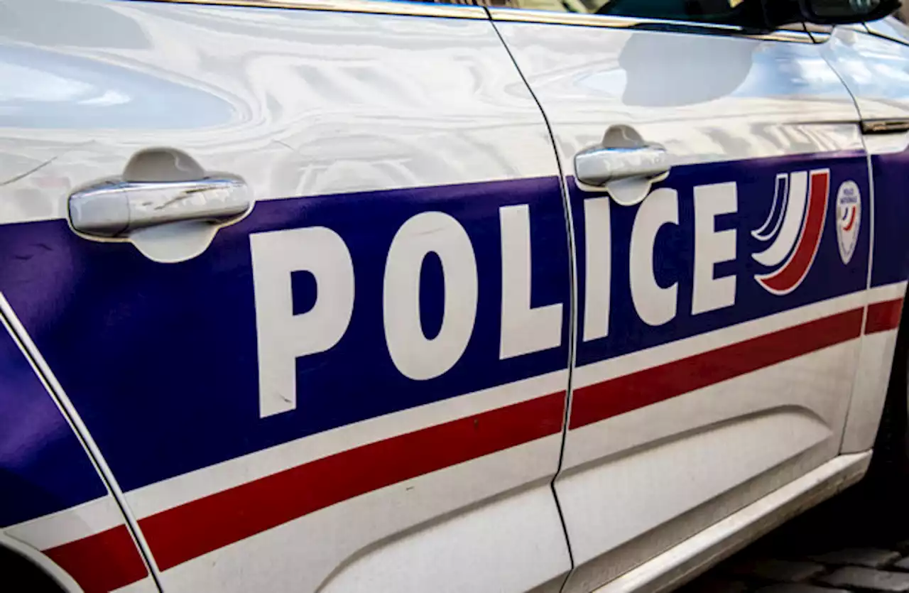 11-year-old British girl shot dead after neighbour opens fire in France