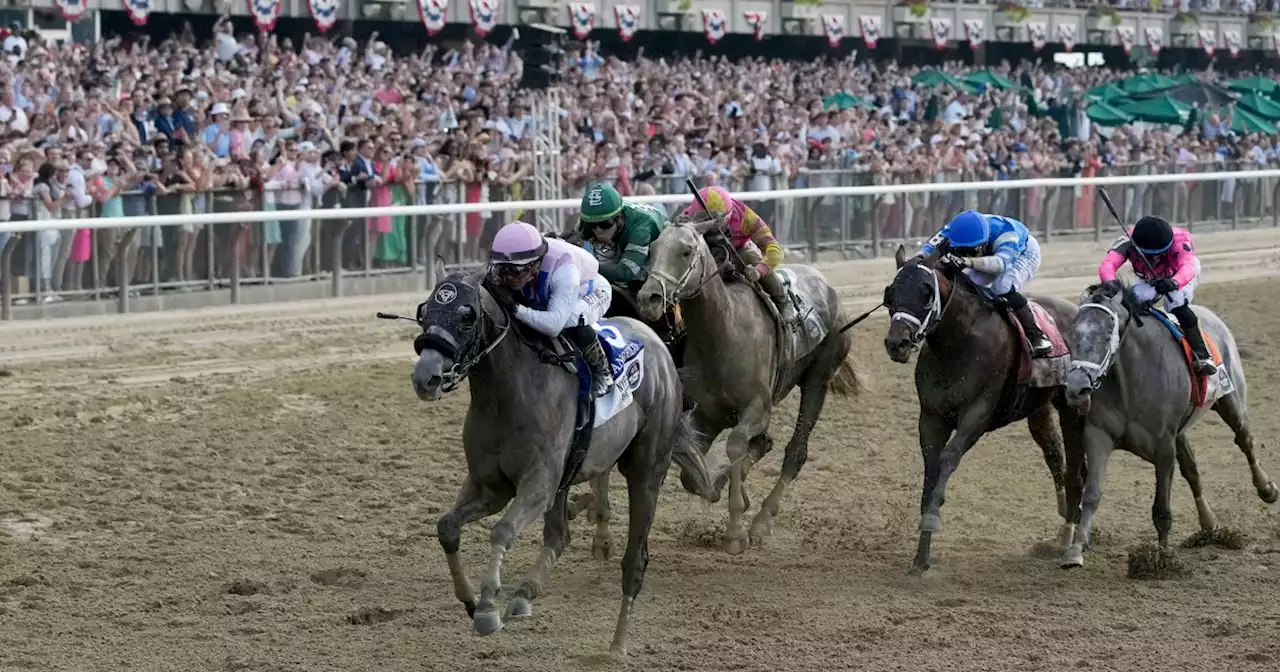 2 race horses die within 24 hours of each other at Belmont Stakes