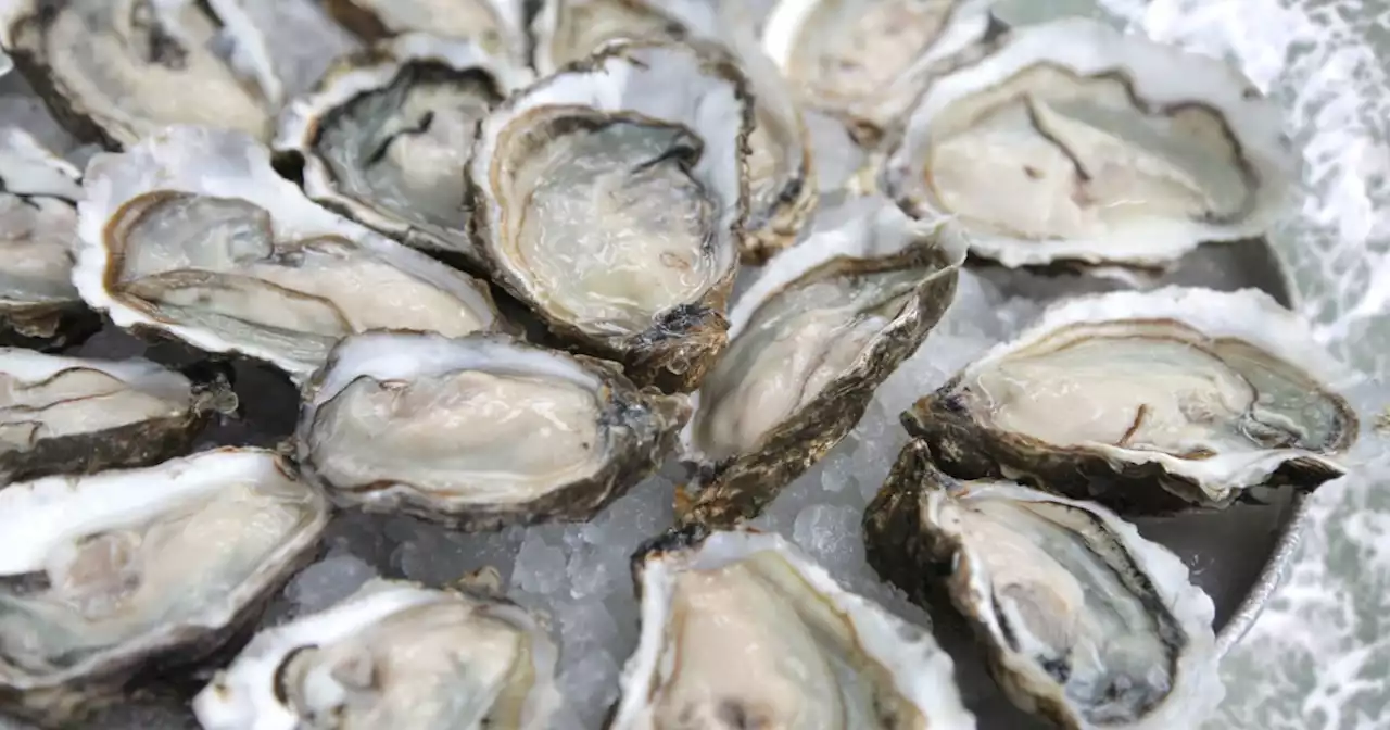 Missouri man dies after eating raw oysters. How to avoid the disease that killed him