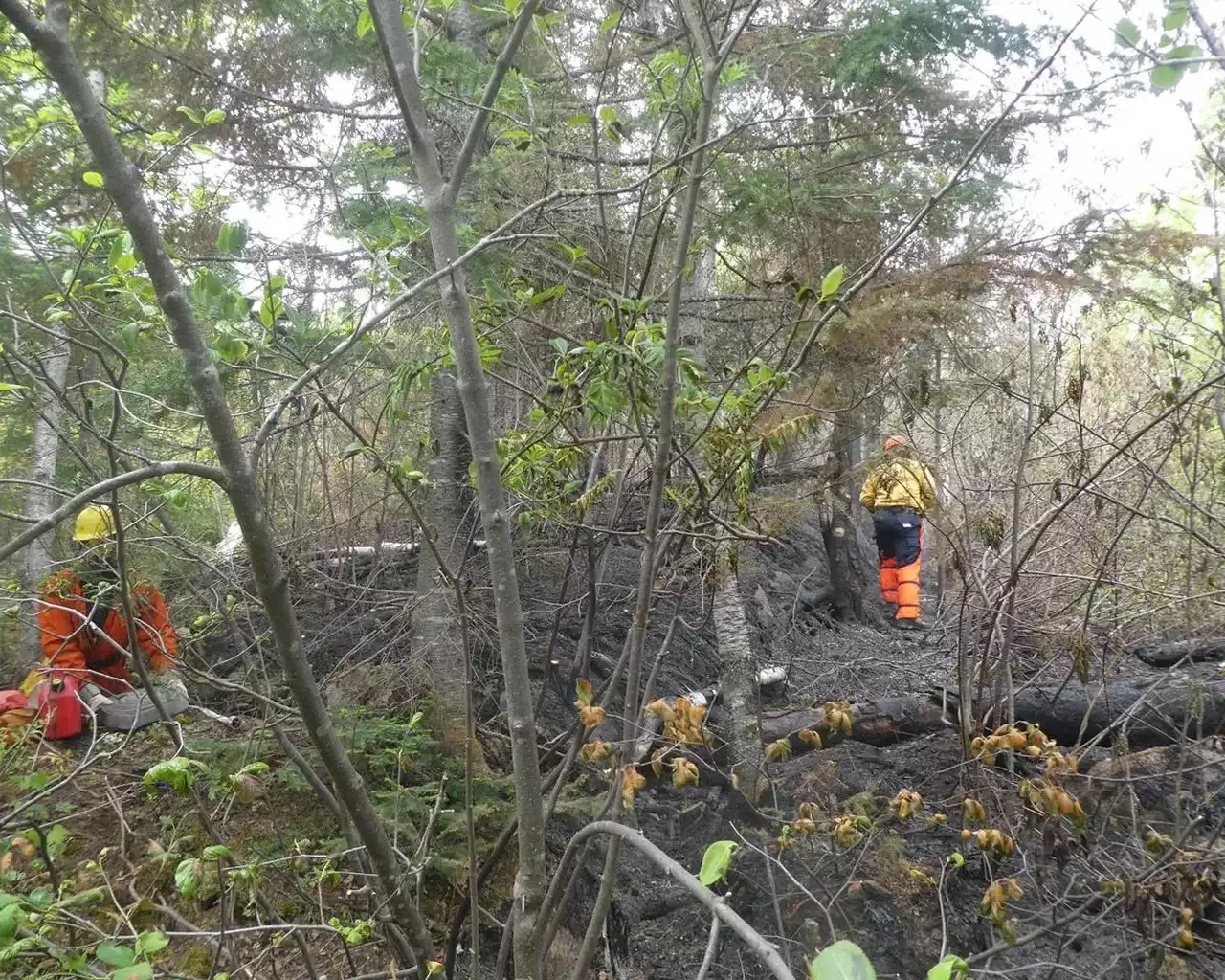 Quebec makes progress against record wildfire season as blaze in B.C. grows