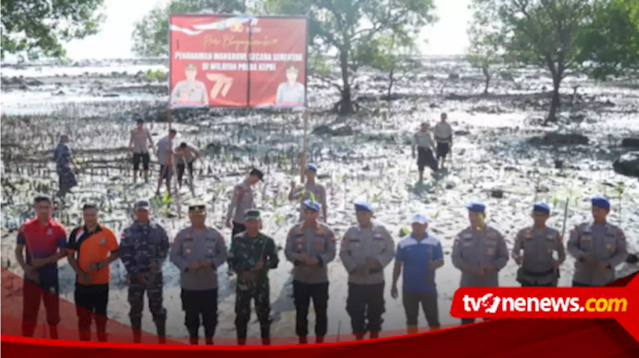 Menyambut HUT Bhayangkara Ke-77, 1000 Batang Mangrove Ditanam Demi Keberlangsungan Ekosistem Laut