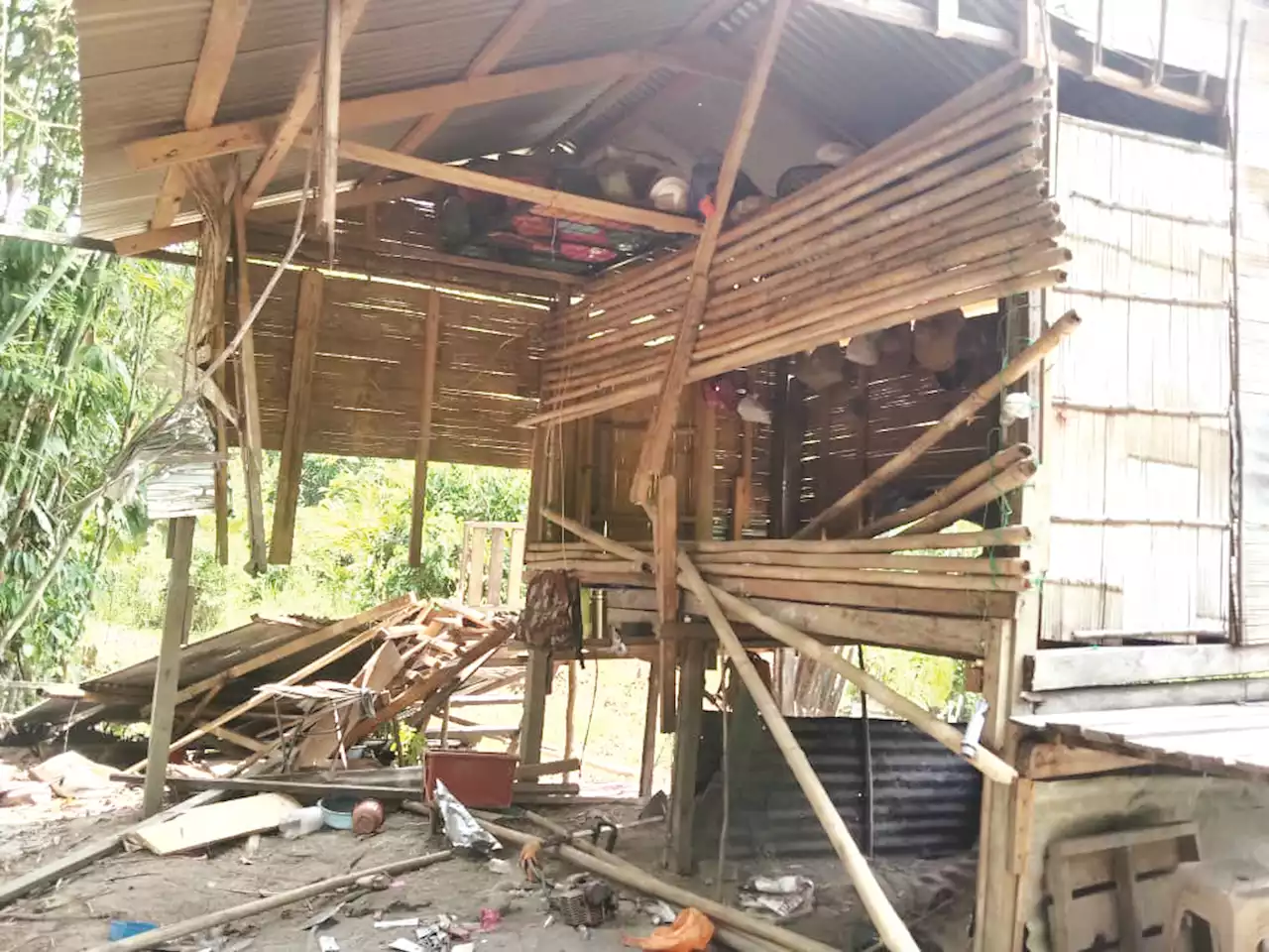 Enam ekor gajah liar ceroboh kebun durian, rosakkan rumah adat