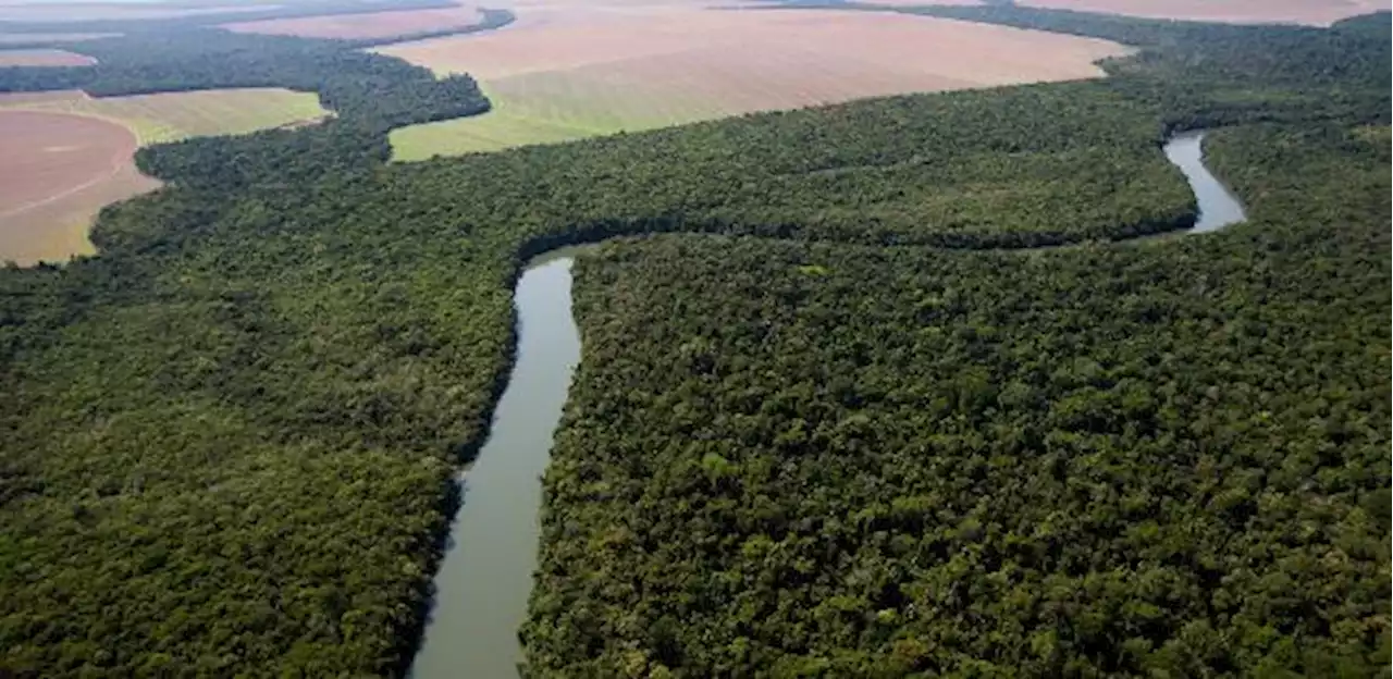 Desmatamento no Cerrado cresce 32% em 2022, mostra relatório