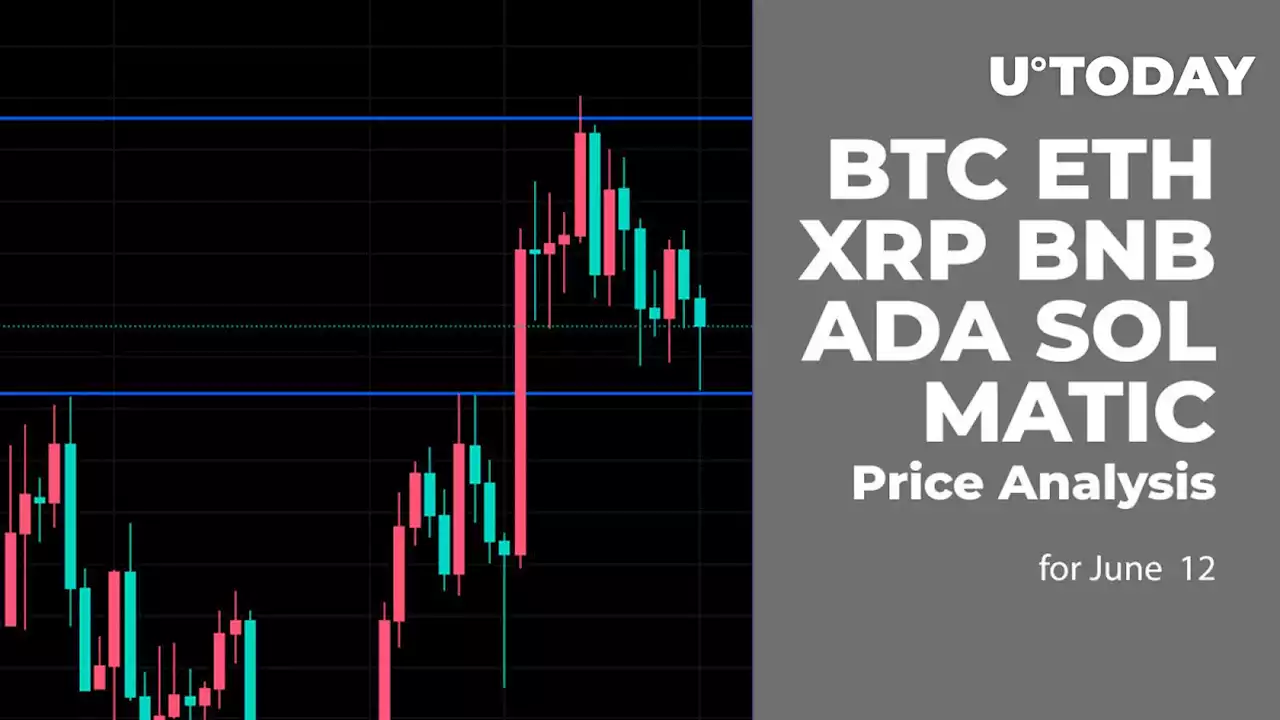 BTC, ETH, XRP, BNB, ADA, MATIC and SOL Price Analysis for June 12