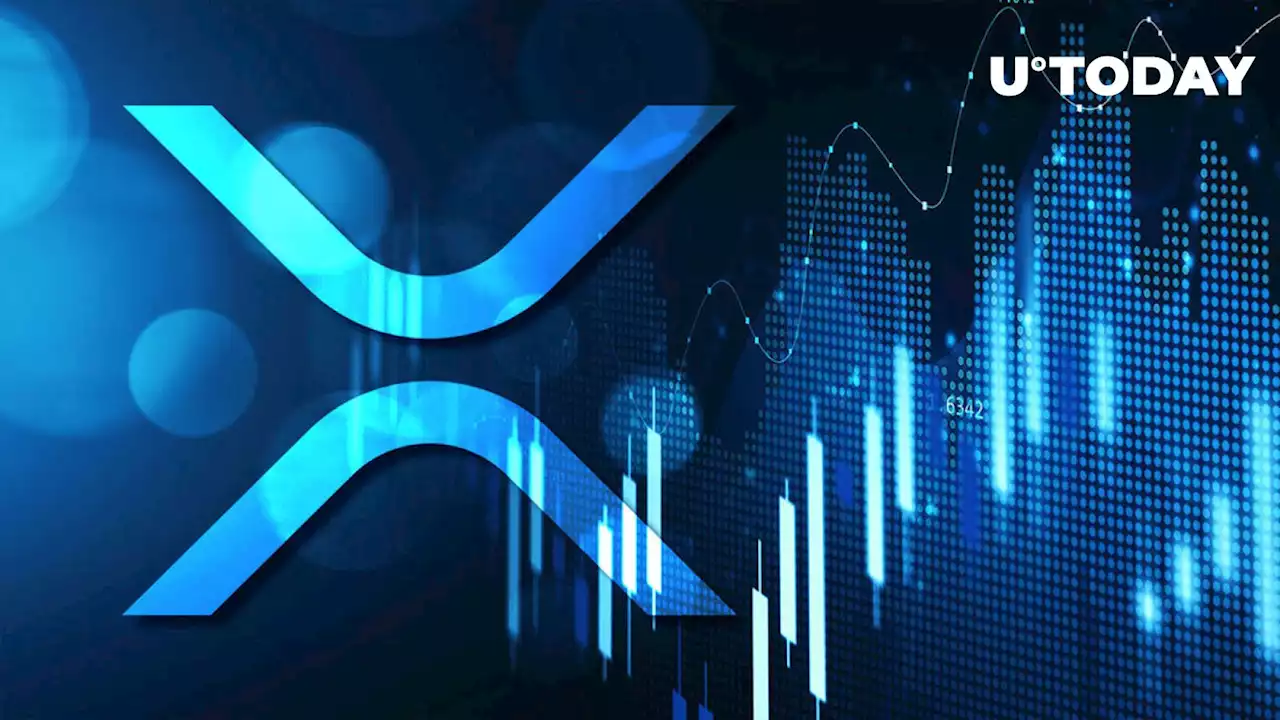 XRP Surges With Promising Investment Inflows Amid Crypto Market Downturn