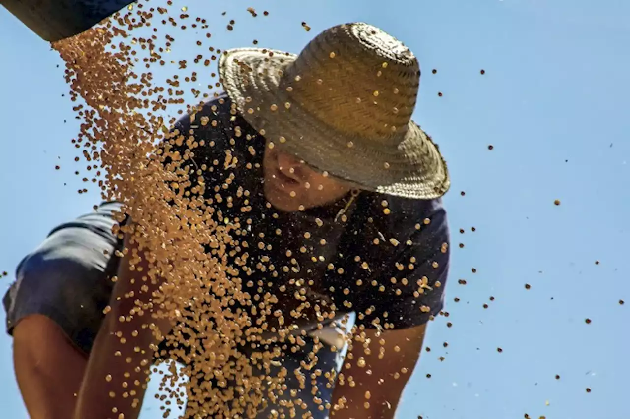 A preocupação do agro com o Plano Safra anunciado por Lula | Maquiavel