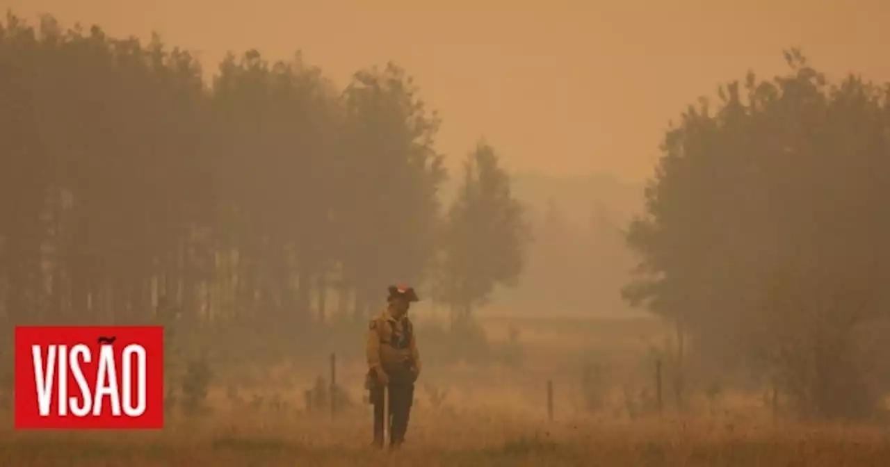 Visão | Fumo dos incêndios no Canadá alcança a Noruega