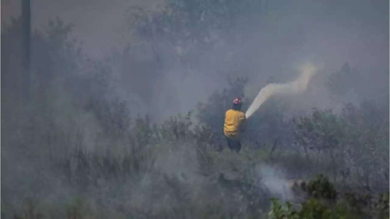 Kebakaran Hutan di Quebec Kanada Mulai Terkendali