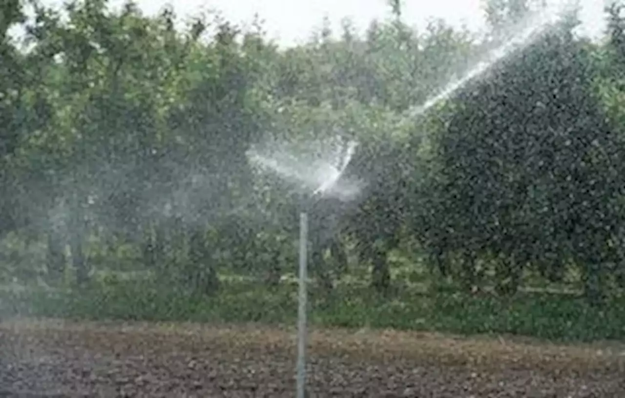 Des dizaines de communes de l’Essonne appelées à économiser l’eau