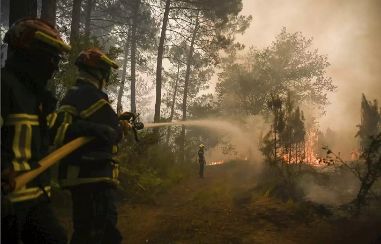 Risques de feux de forêt, « un virage par rapport à ce qu’on a pu connaître »