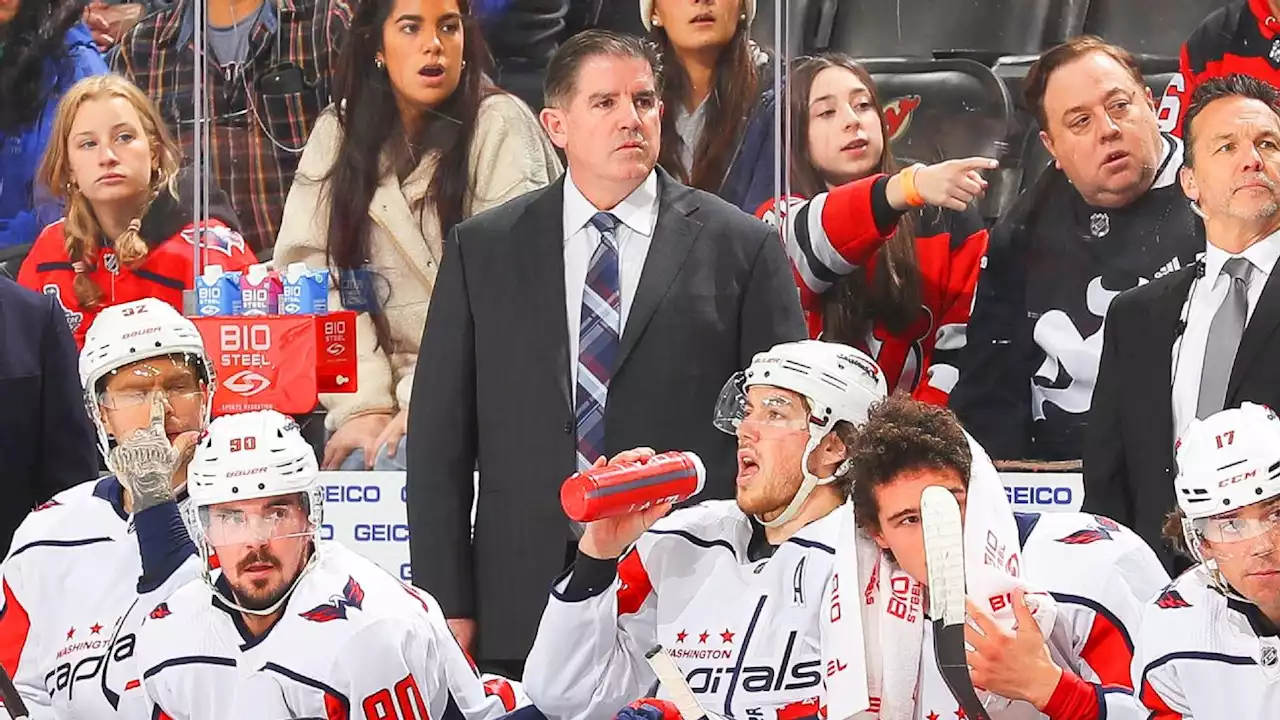 Rangers hiring ex-Capitals head coach Peter Laviolette