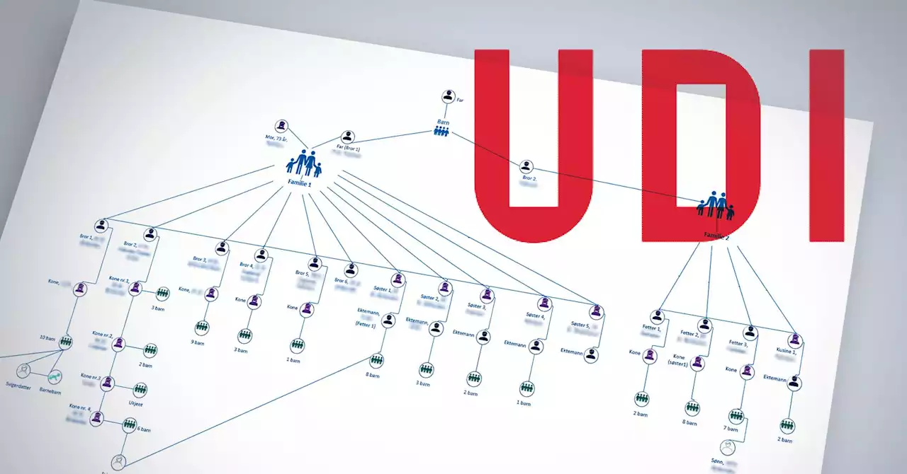 Det startet med at datter ble utsatt for æresvold. Nå mener UDI de har avdekket over 60 falske identiteter i familienettverk