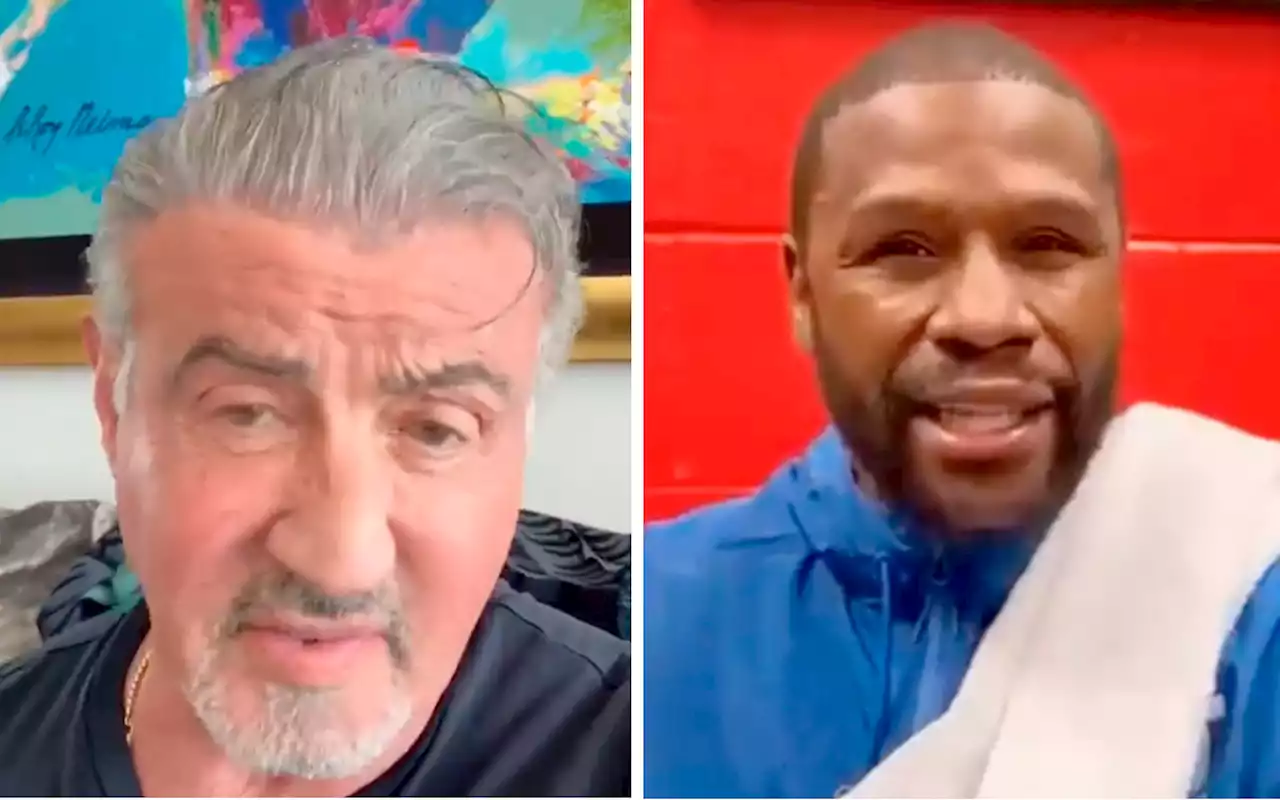 Stallone y Mayweather mandan mensaje a Sheinbaum con 'más baaax' | Video