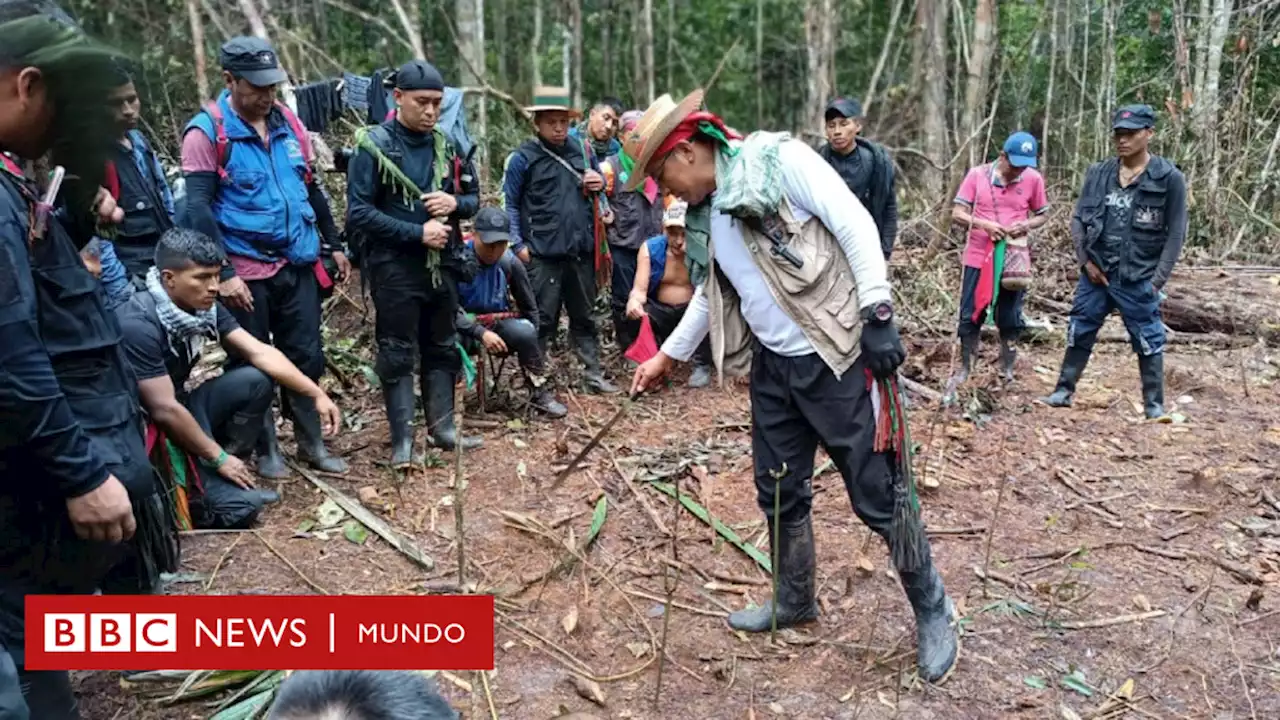 'No se entiende que, con todo lo que recorrimos, encontramos a los niños por donde ya habíamos pasado' - BBC News Mundo