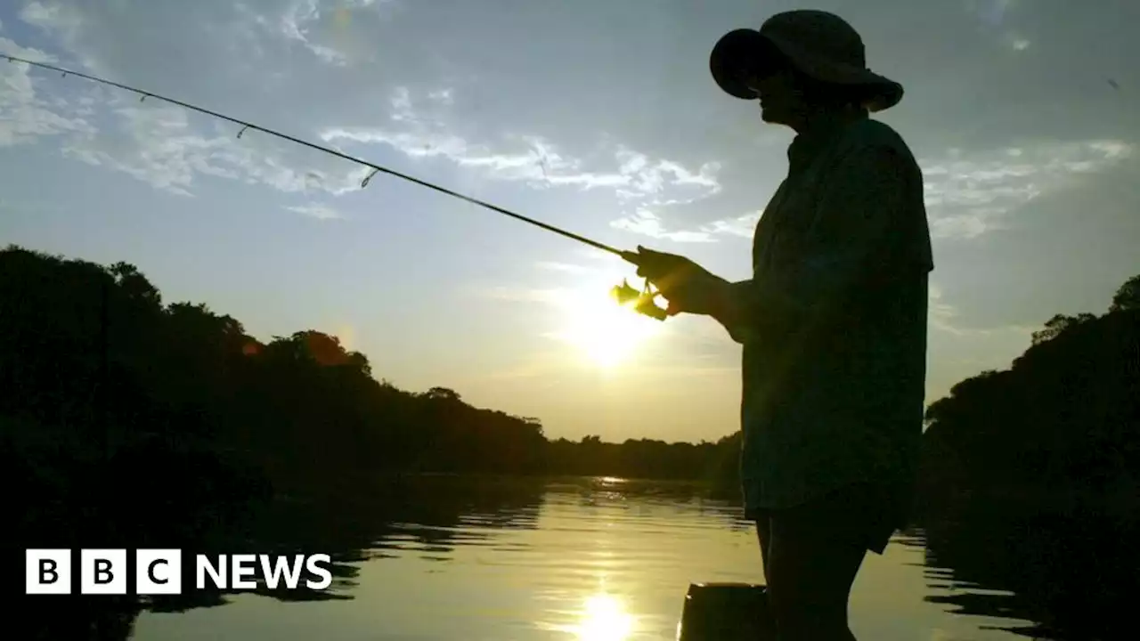 Hot weather warning as Northern Ireland fishing rivers struggle in heat