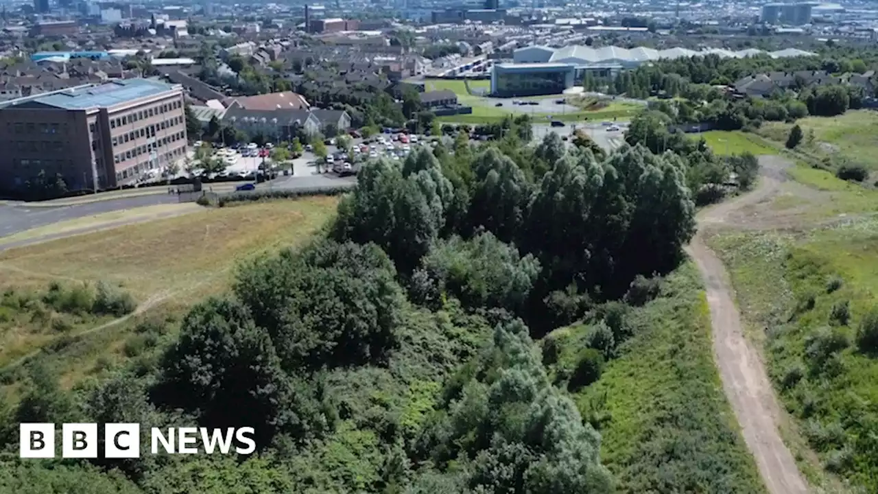 West Belfast: Proposal for 900 new houses at former Mackies site