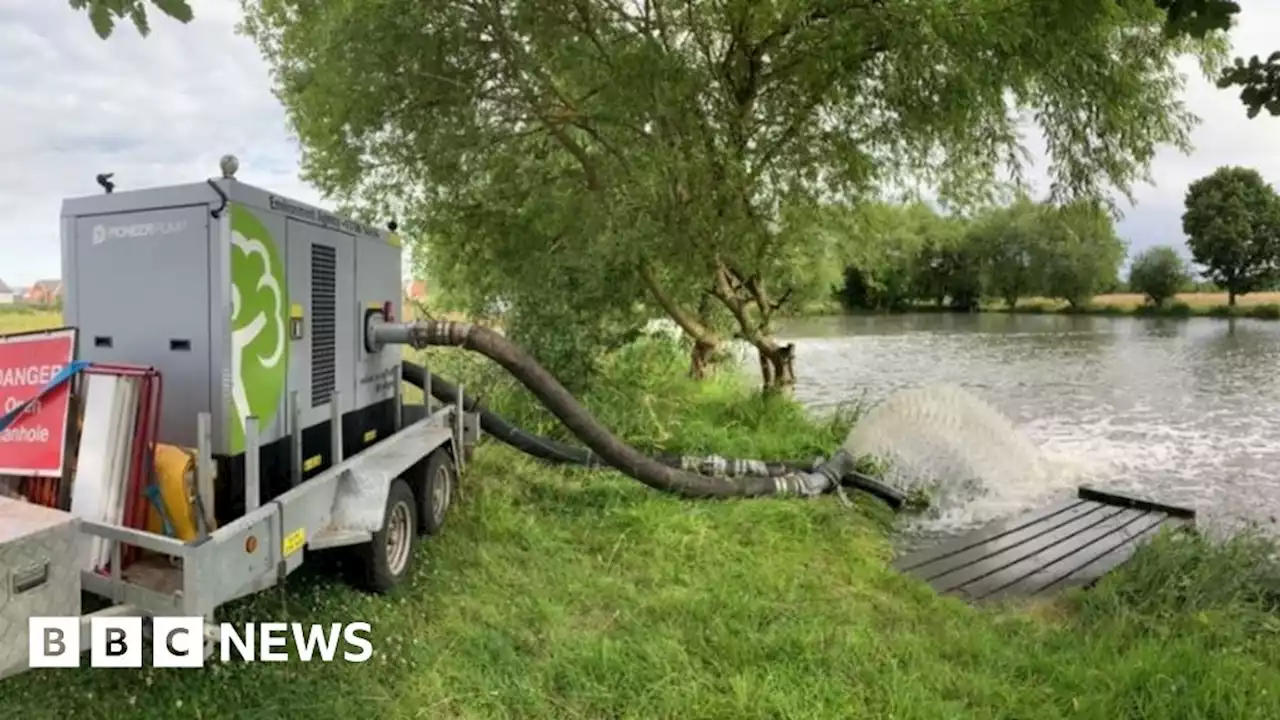 River Mole: Environment Agency investigates after dead fish found