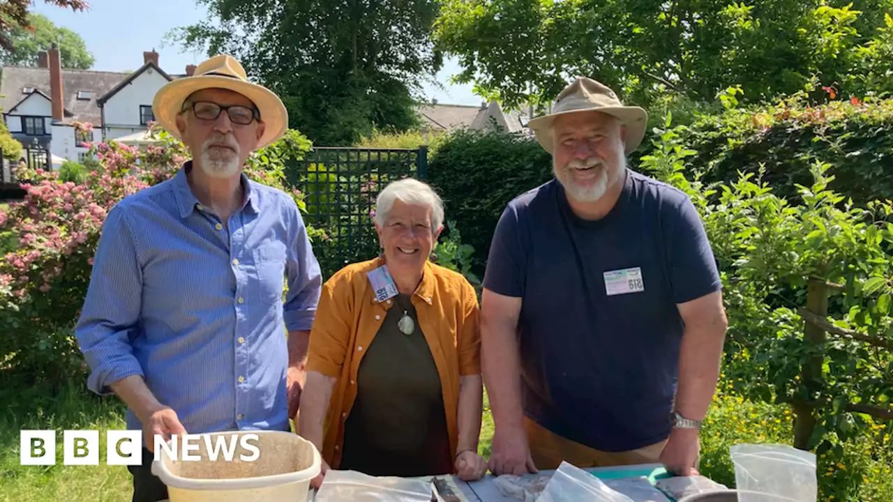 Roman pottery found in Weobley community archaeology dig