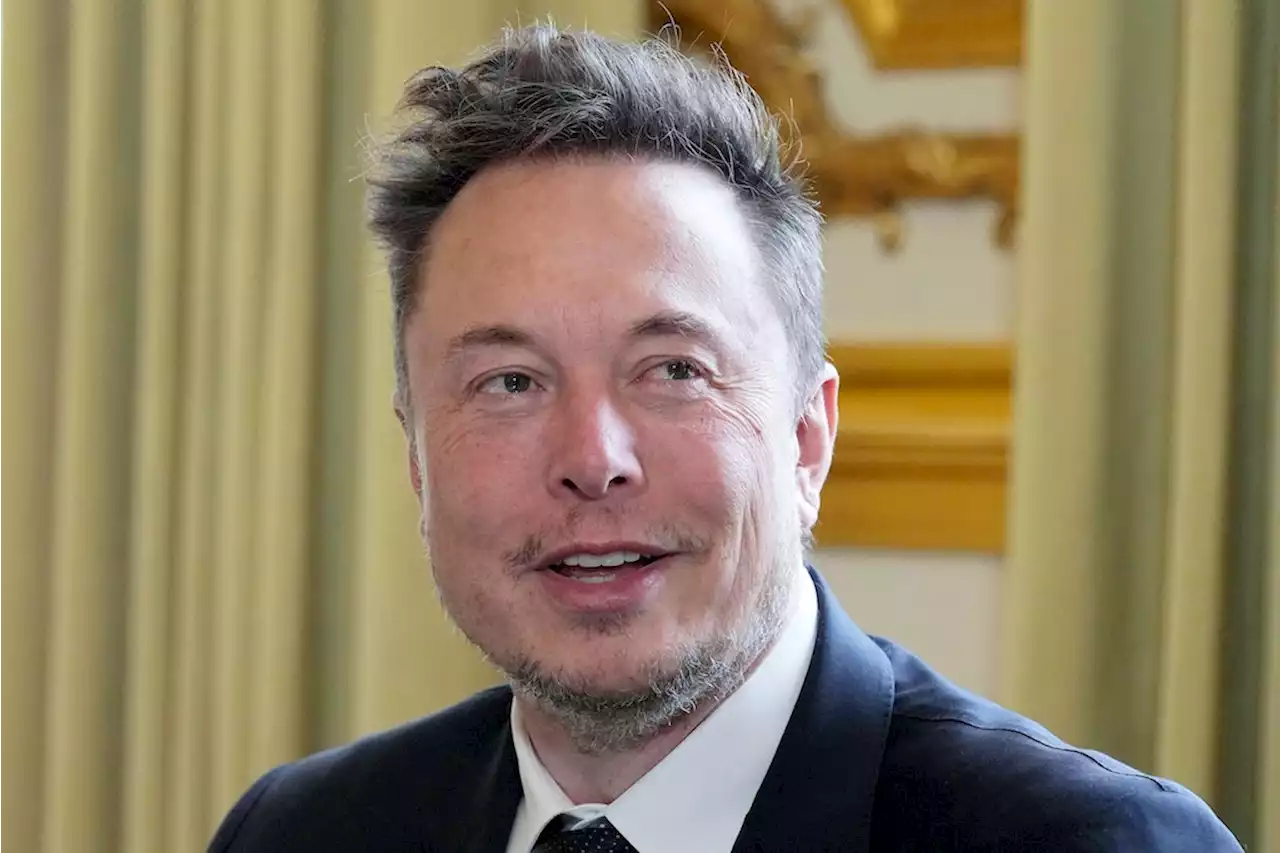 Braucht die Ukraine neue deutsche Panzer? Elon Musk gibt Andrij Melnyk Tipps