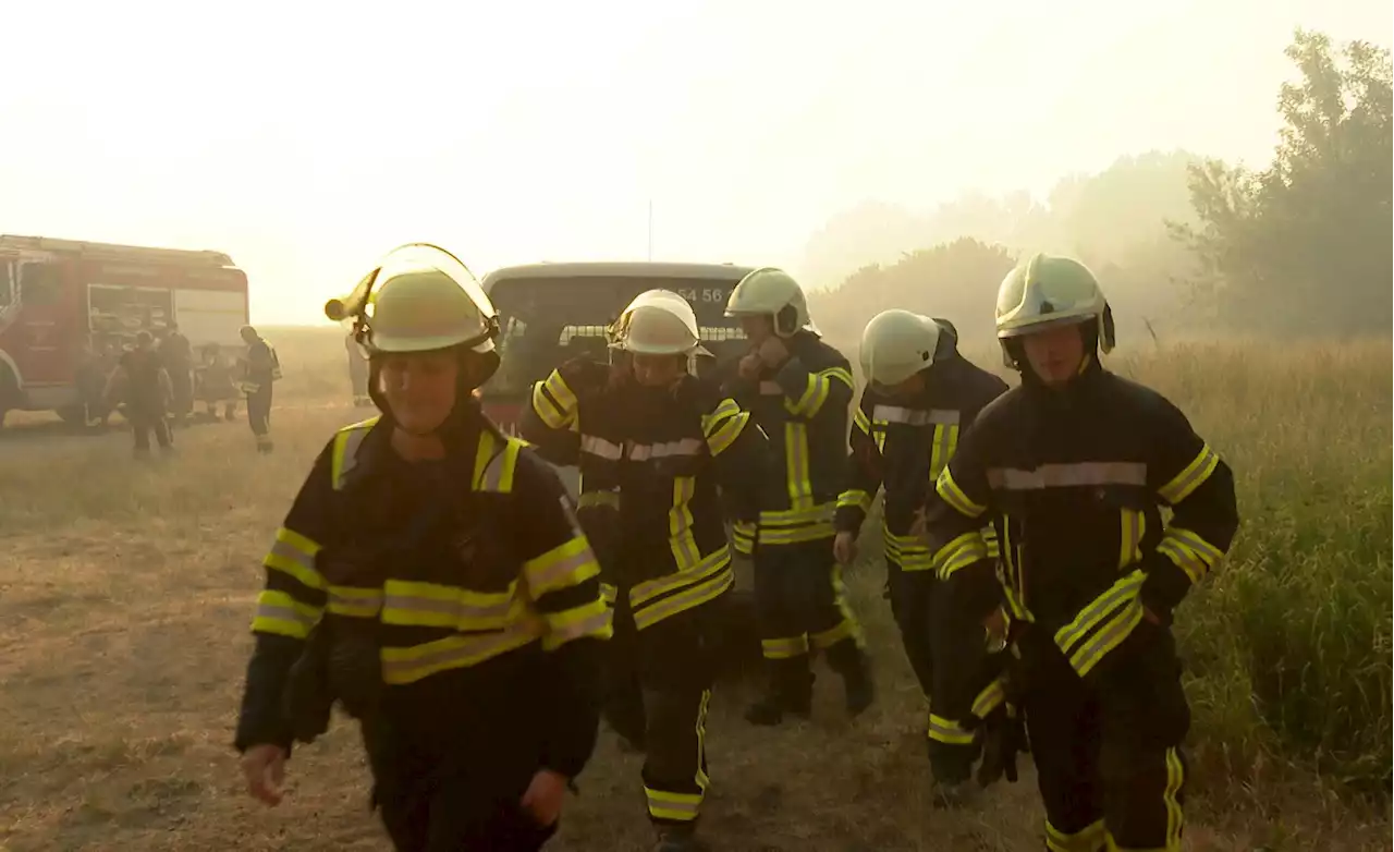 Waldbrände in Mecklenburg-Vorpommern auf 135 Hektar angewachsen