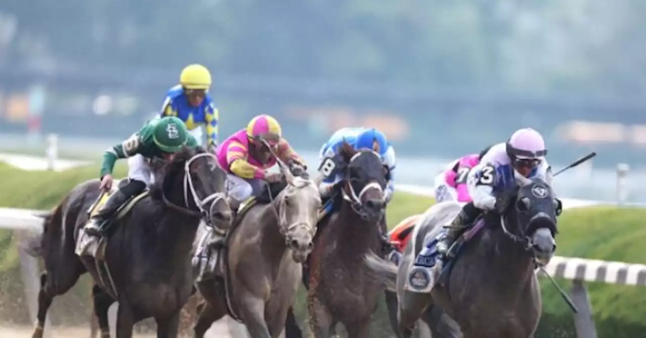 Two Horses Euthanized at Belmont Park, Adding to Mounting Triple Crown Death Toll