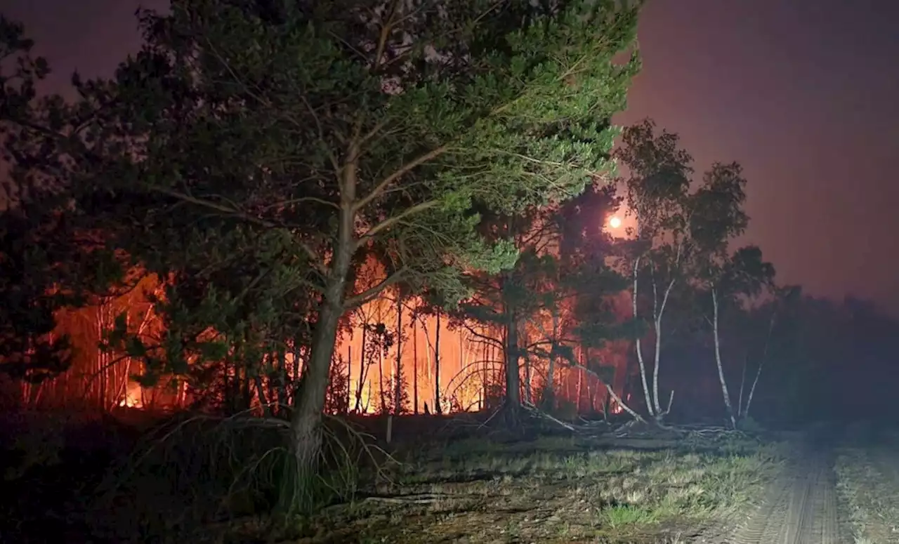 Waldbrand bei Jüterbog erneut aufgeflammt – Drohne im Einsatz