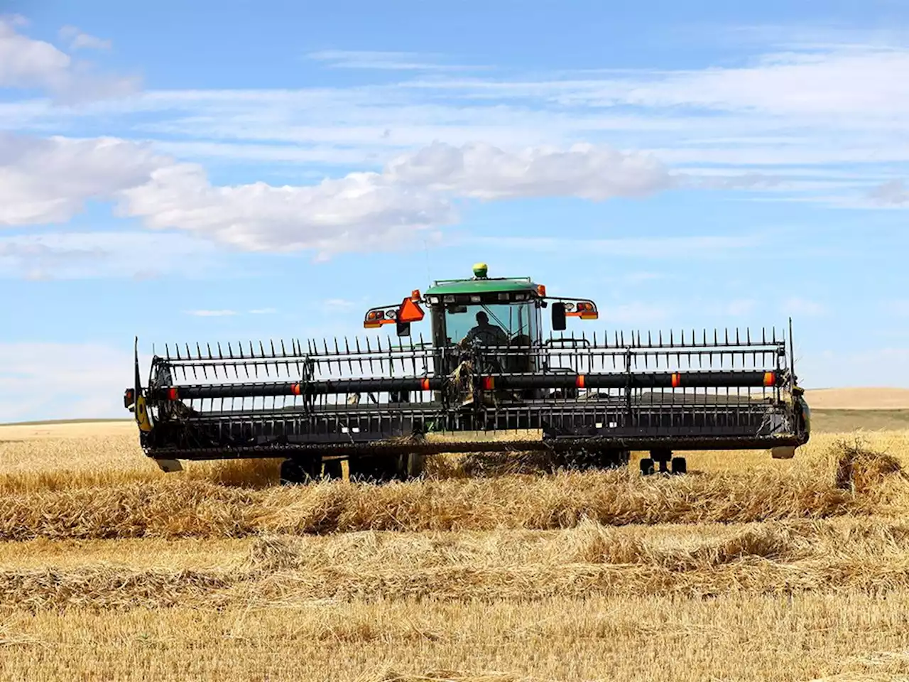 Alberta farmers already battling 'extreme' drought this growing season