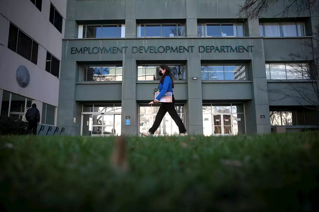 California’s COVID unemployment reckoning goes national