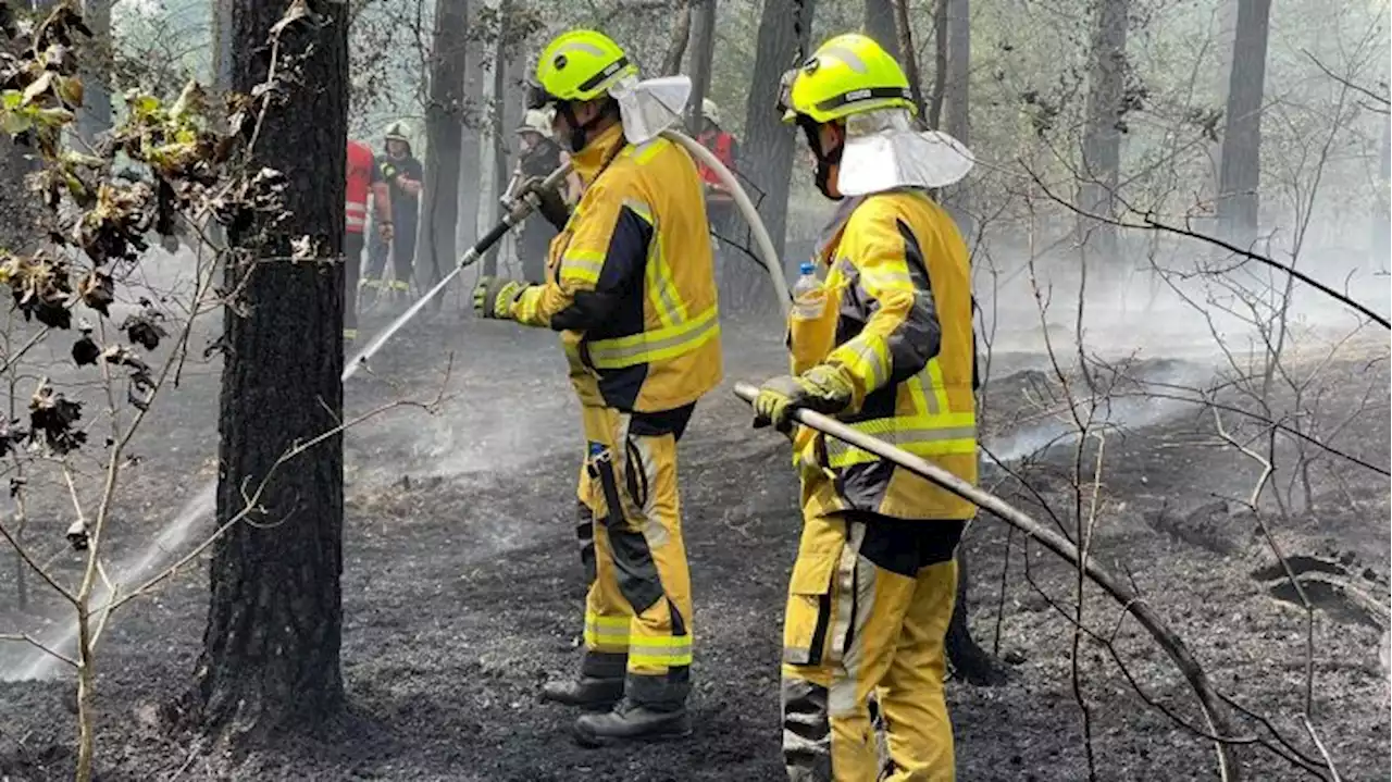 Nächtlicher Waldbrand bei Rheinsberg