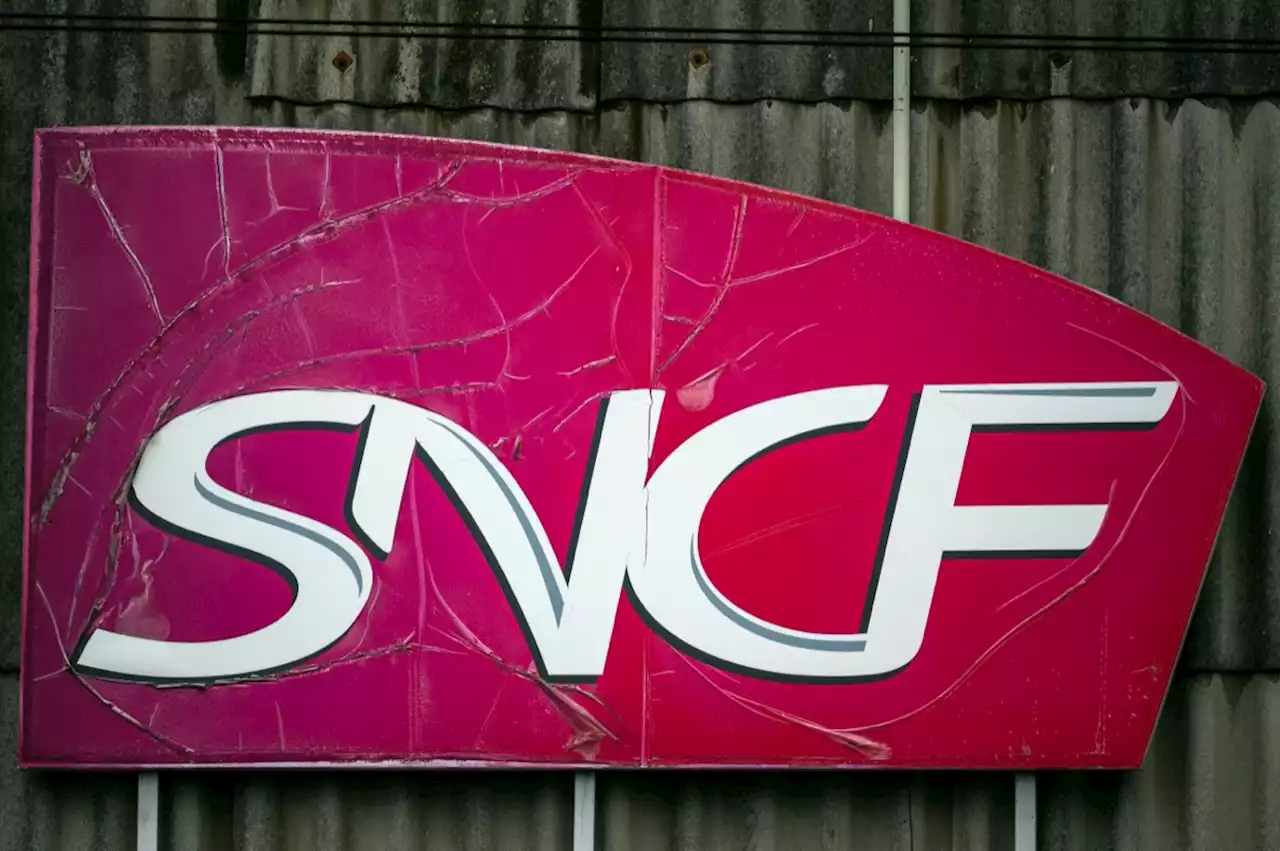 Chat coupé en deux par un TGV à Paris : la SNCF face à la justice le 19 juin prochain