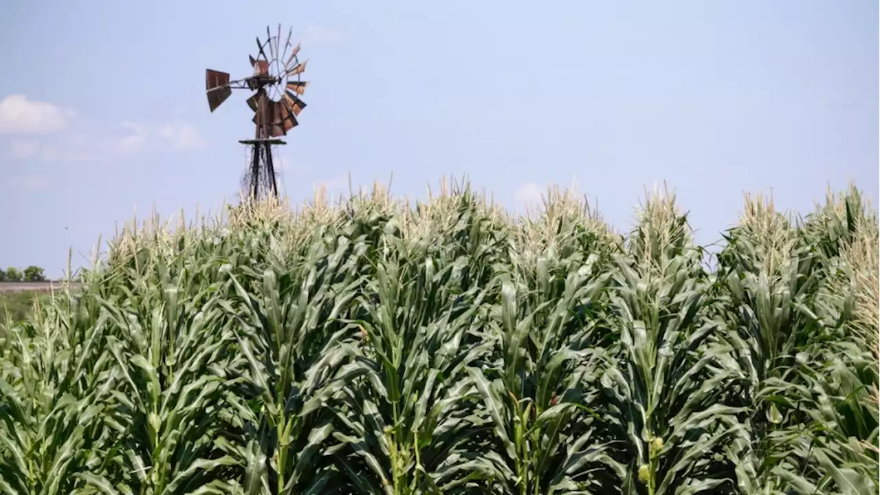 Bunge and Viterra sign merger agreement to create global agribusiness