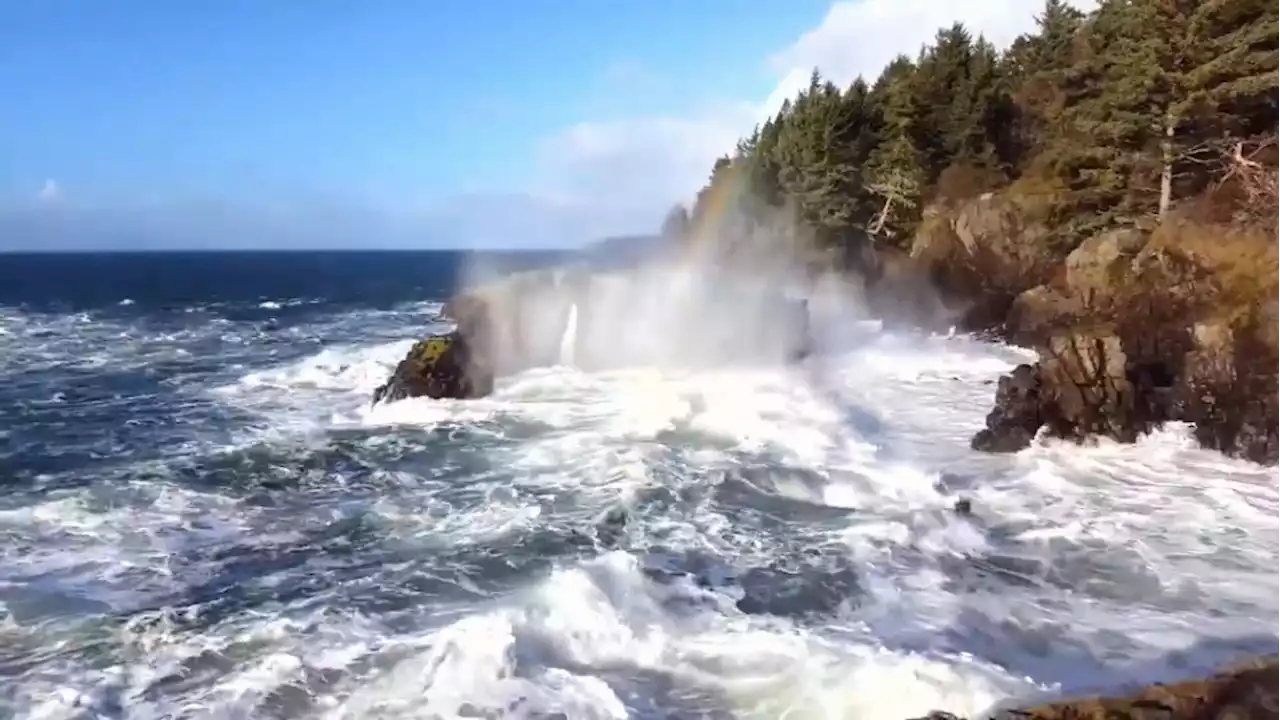 Wind warning issued for western Vancouver Island