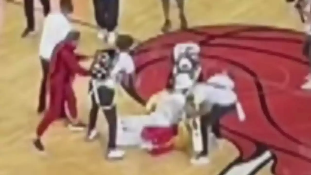 Conor McGregor punches Miami Heat mascot