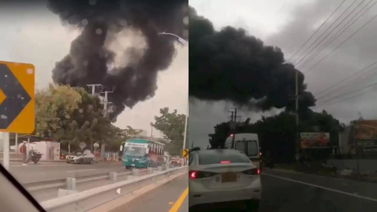 Bomberos atienden emergencia en vivero sobre la Vía al Mar