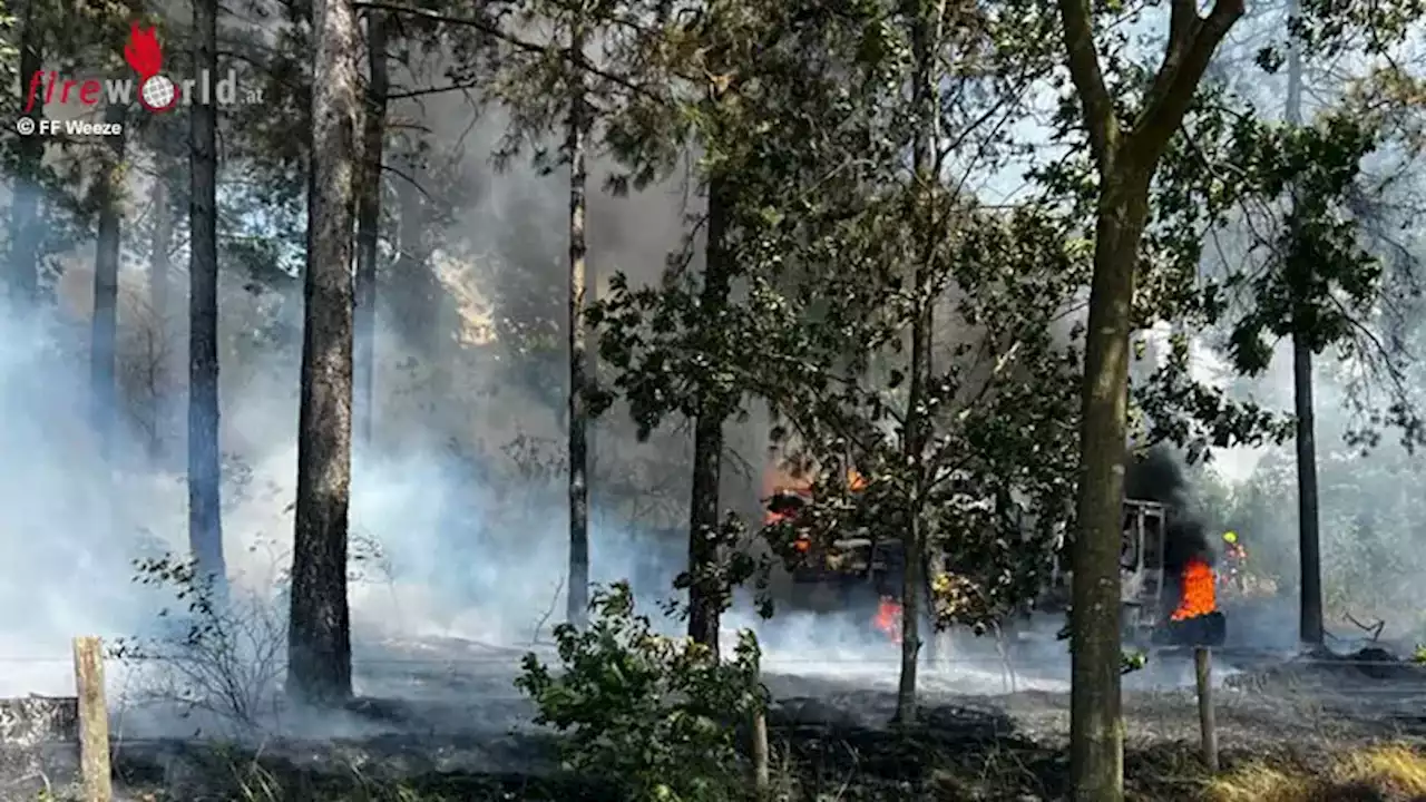 D: Forstmaschine löst Waldbrand in Weeze aus