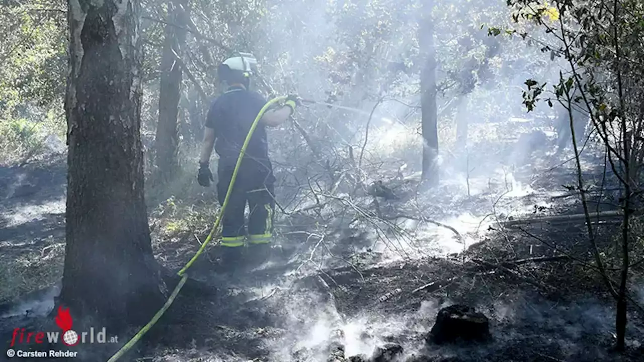 D: Rund 400 Kräfte bei Waldbrand mit starkem Wind in Mielkendorf im Einsatz