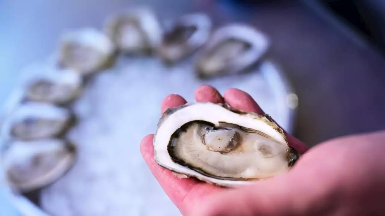 54-year-old Missouri man dies after eating raw oysters from St. Louis food stand