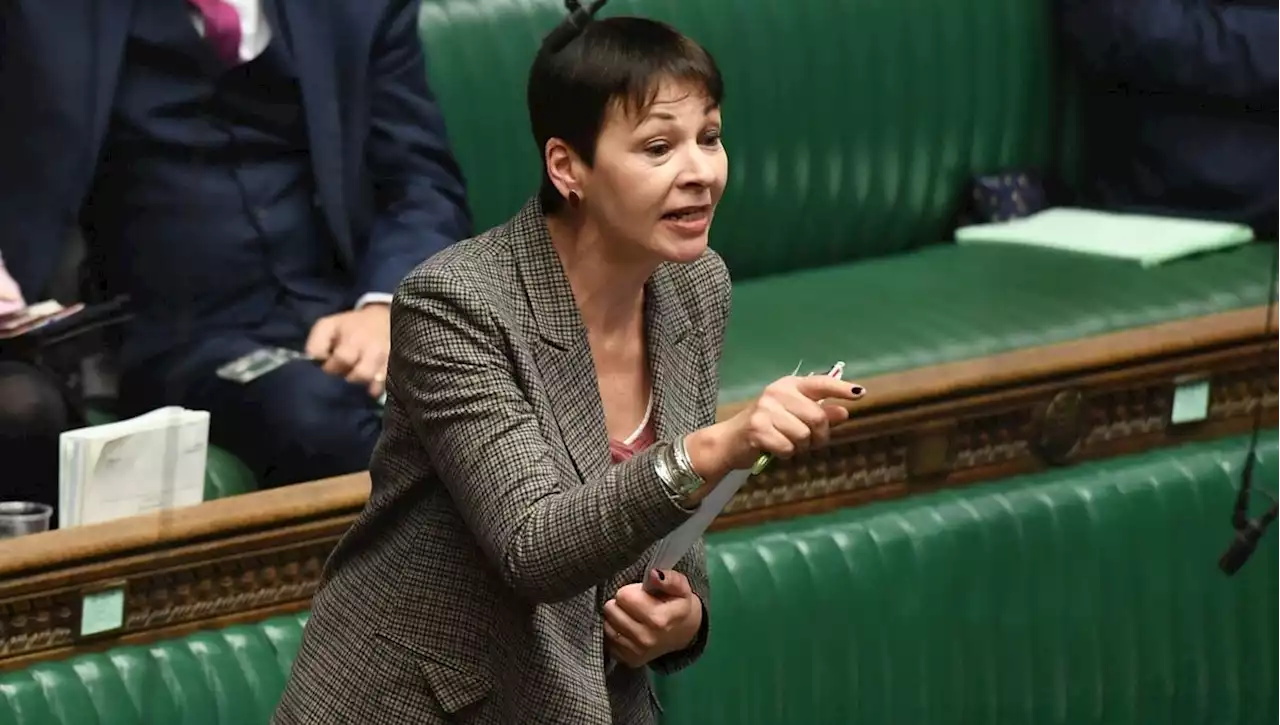 Caroline Lucas, la seule députée écologiste britannique, ne se représentera pas